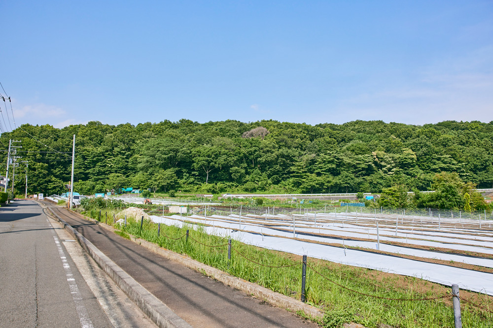 賃貸ガレージハウス｜オーナーズインタビュー｜田園風景