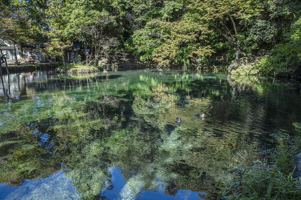 賃貸ガレージハウス|ICからの関東ドライブ|出流原弁天池