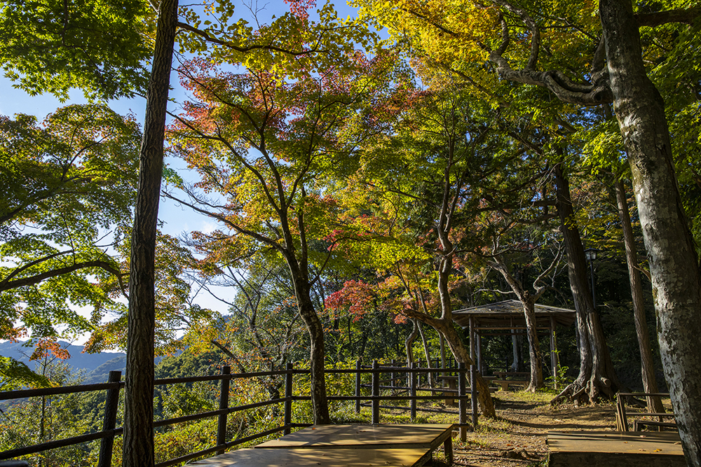 賃貸ガレージハウス|ICからの関東ドライブ|太平山紅葉
