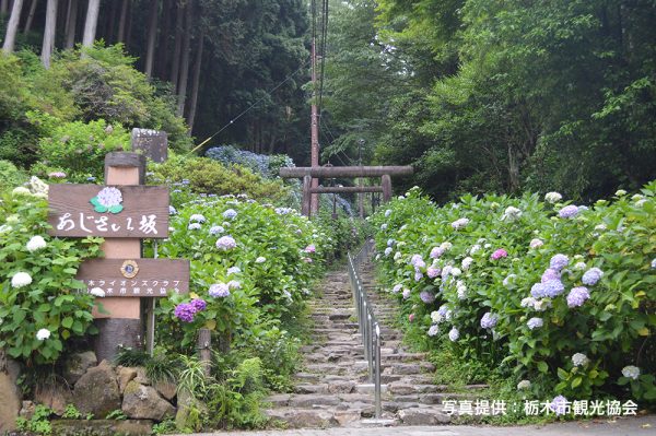 賃貸ガレージハウス|ICからの関東ドライブ|あじさい坂