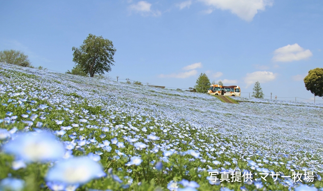 賃貸ガレージハウス|マザー牧場2